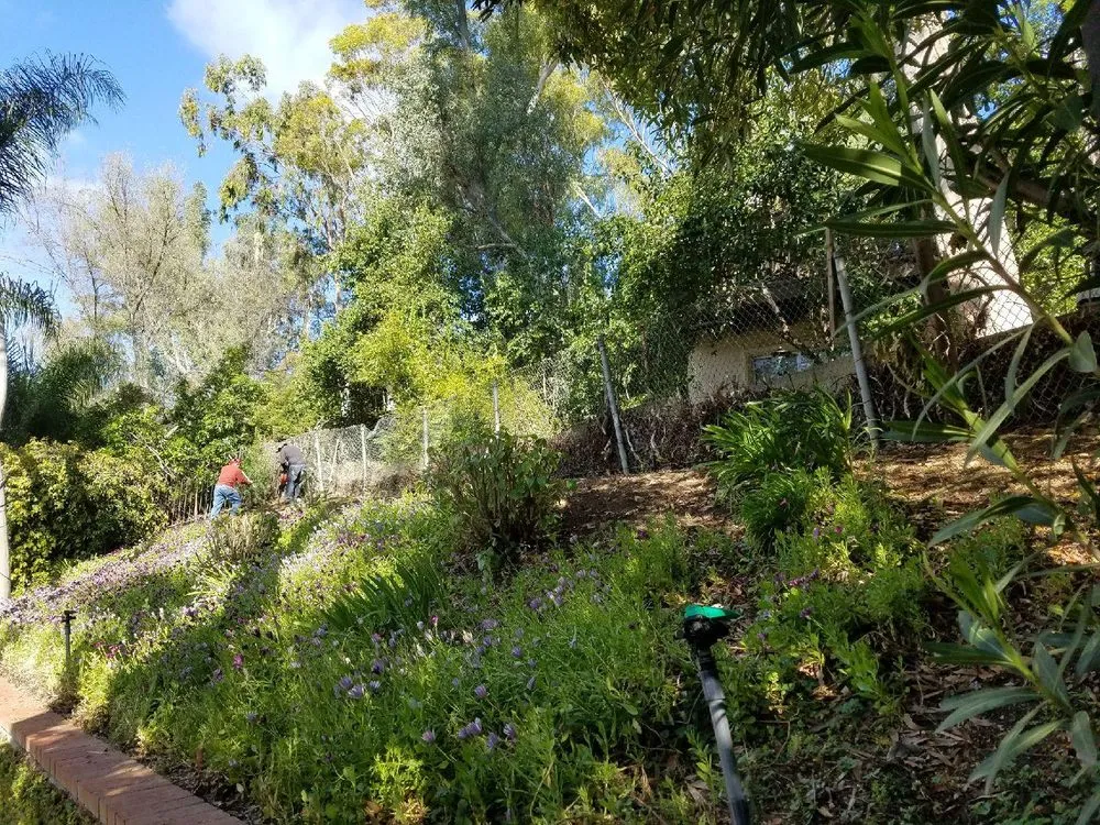 Expert landscape design in Los Angeles, CA - Green View Trees Service