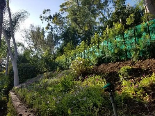 Green View Trees Service Logo