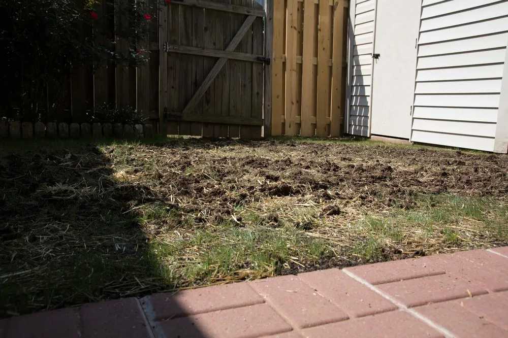 Professional landscape design experts serving Sterling, VA - Green Village Landscape