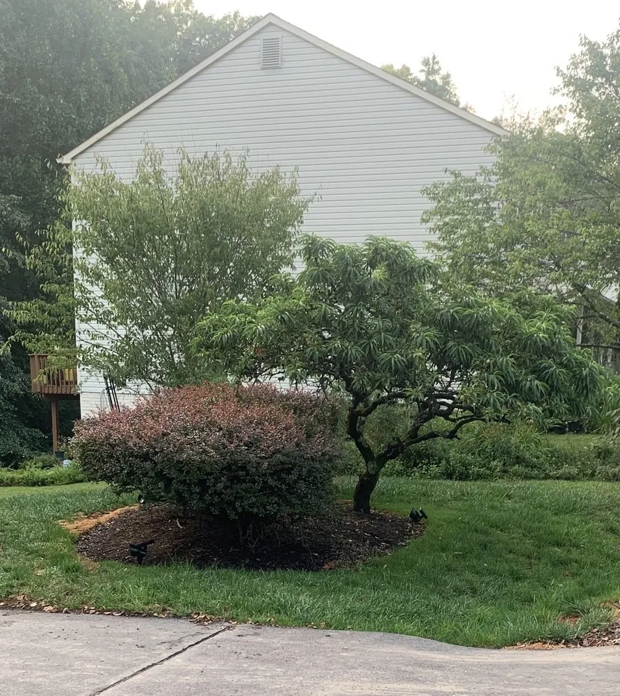 Top-rated landscaping services for beautiful yards across Sterling, VA - Green Village Landscape