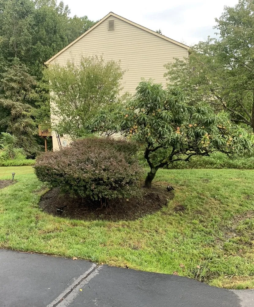 Affordable outdoor landscaping near you in Sterling, VA by Green Village Landscape