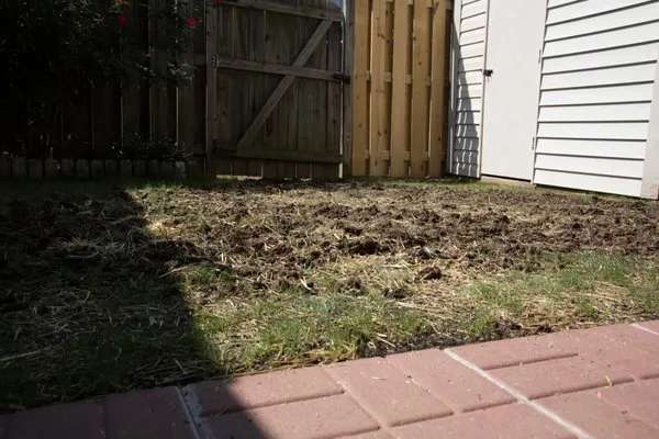 Green Village Landscape Logo