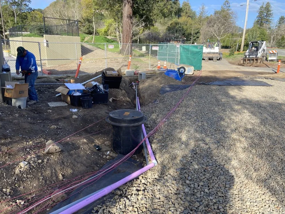 Affordable landscape installation in Santa Rosa, CA by Green Vine Landscaping