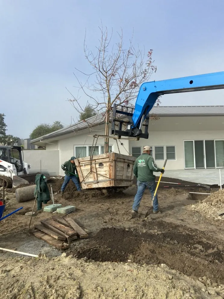 Local residential landscaping in Santa Rosa, CA - Green Vine Landscaping