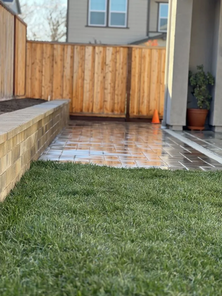 Trusted yard cleanup service for beautiful yards across Santa Rosa, CA - Green Vine Landscaping