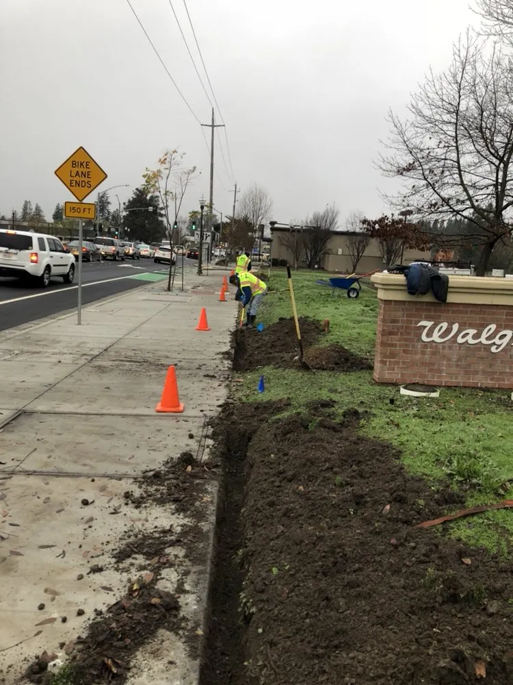 Trusted landscape design in Santa Rosa, CA by Green Vine Landscaping