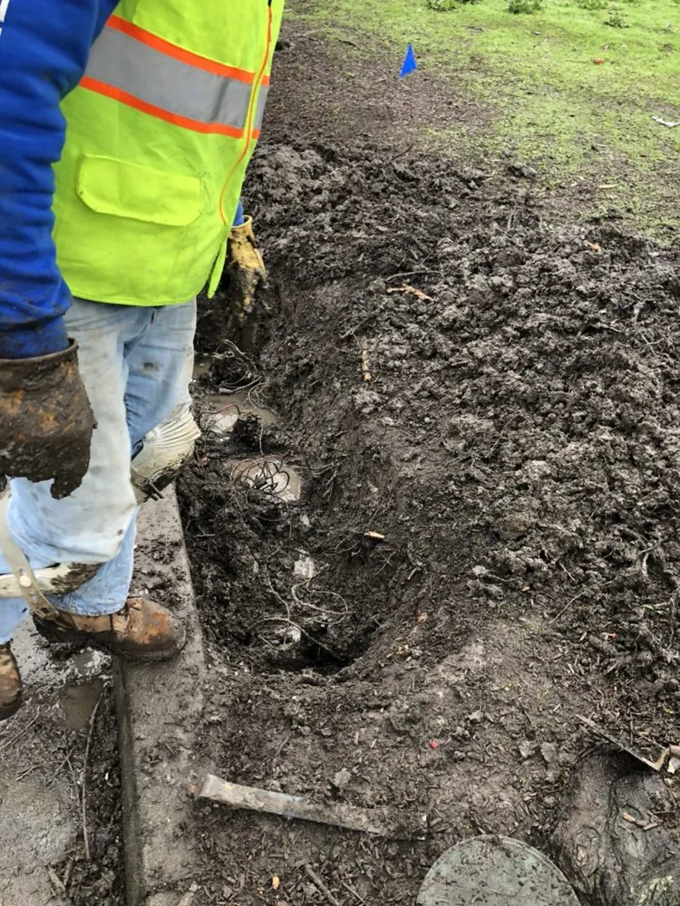 Expert landscape installation in Santa Rosa, CA by Green Vine Landscaping
