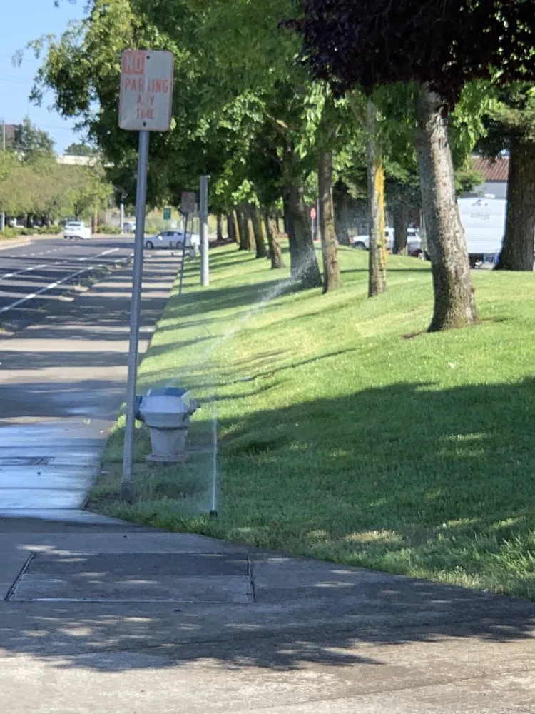 Top-rated yard maintenance for year-round maintenance across Santa Rosa, CA - Green Vine Landscaping