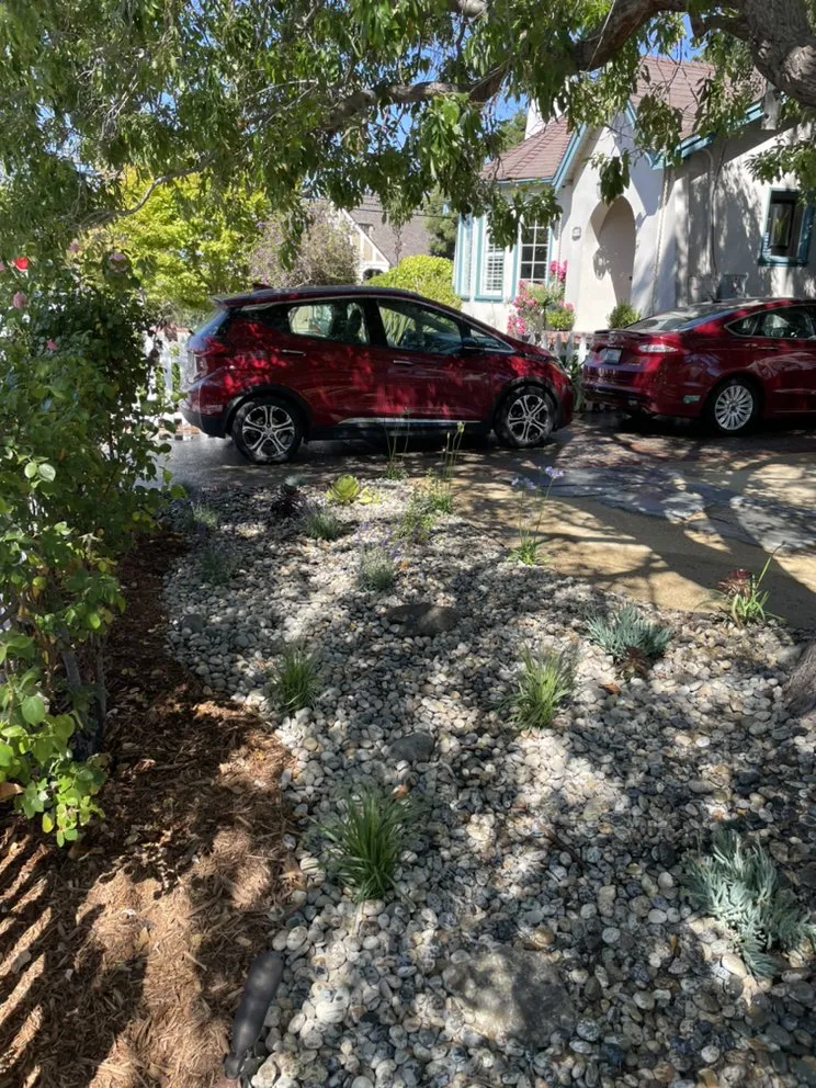 Professional yard maintenance in East Palo Alto, CA - Green Vision Landscape