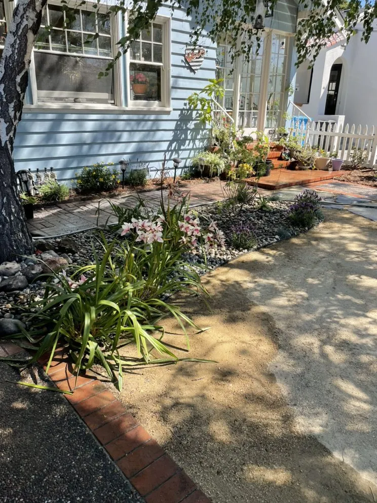 Local yard cleanup service in East Palo Alto, CA by Green Vision Landscape