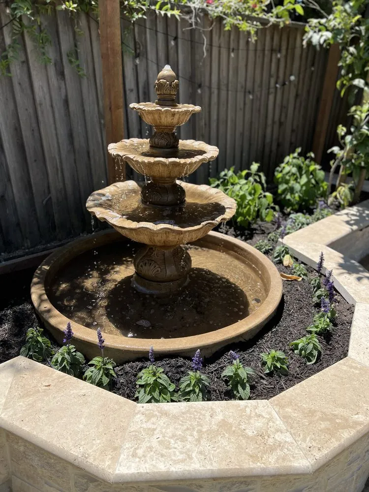 Local yard cleanup service experts serving East Palo Alto, CA - Green Vision Landscape