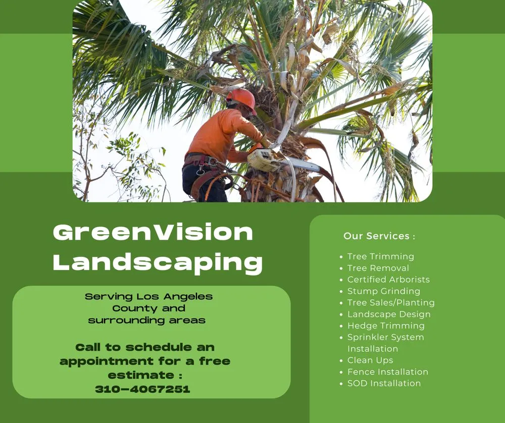 Trusted yard cleanup service in Gardena, CA by Green Vision Landscaping