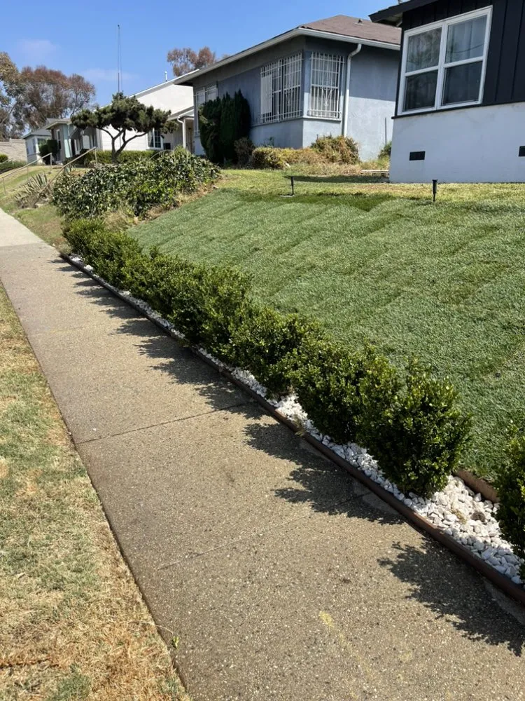 Reliable garden landscaping in Gardena, CA - Green Vision Landscaping