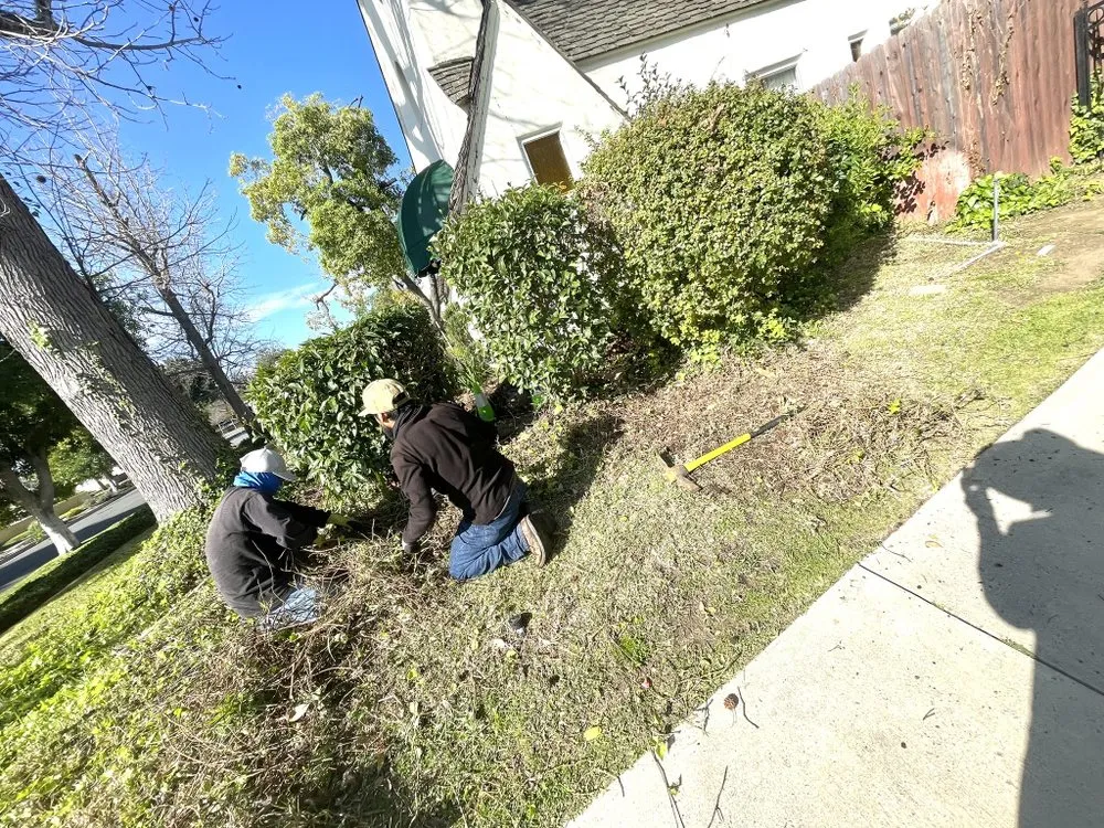 Affordable lawn care service experts serving Gardena, CA - Green Vision Landscaping