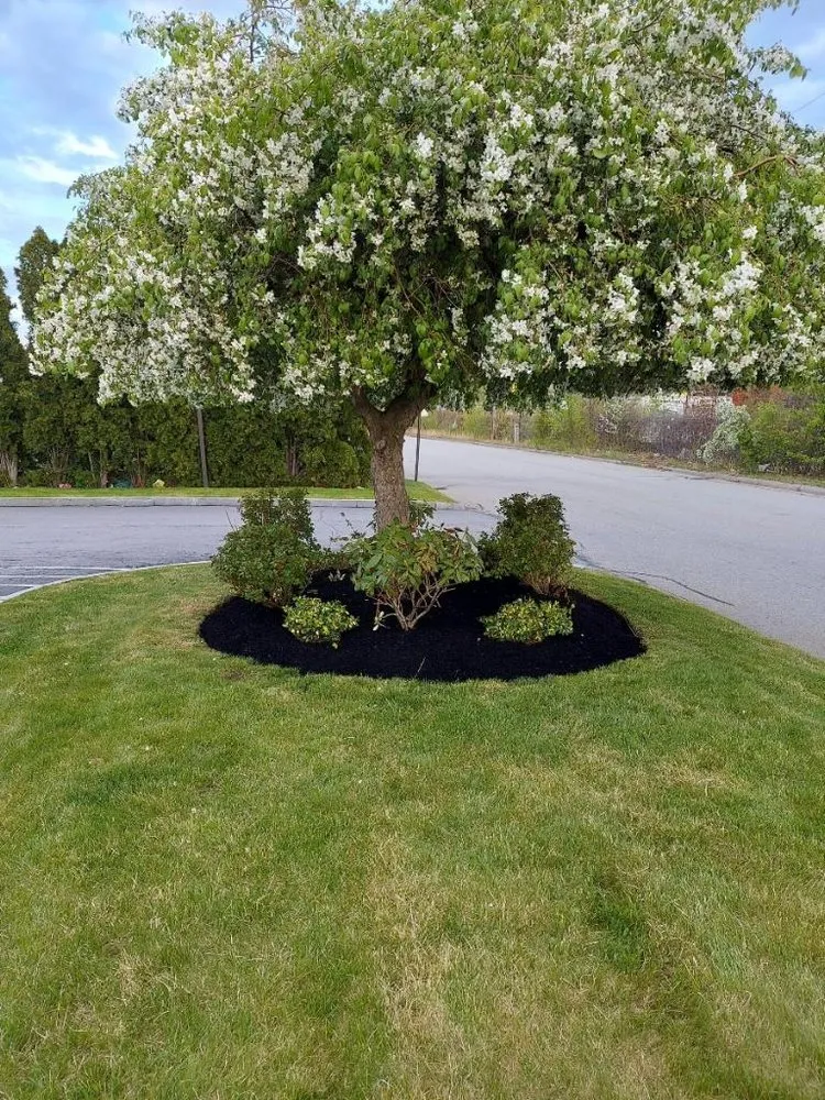 Reliable lawn mowing service experts serving Manchester, NH - Green Vision