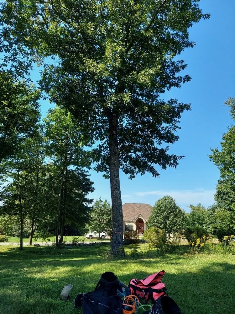 Local outdoor landscaping in Manchester, NH by Green Vision