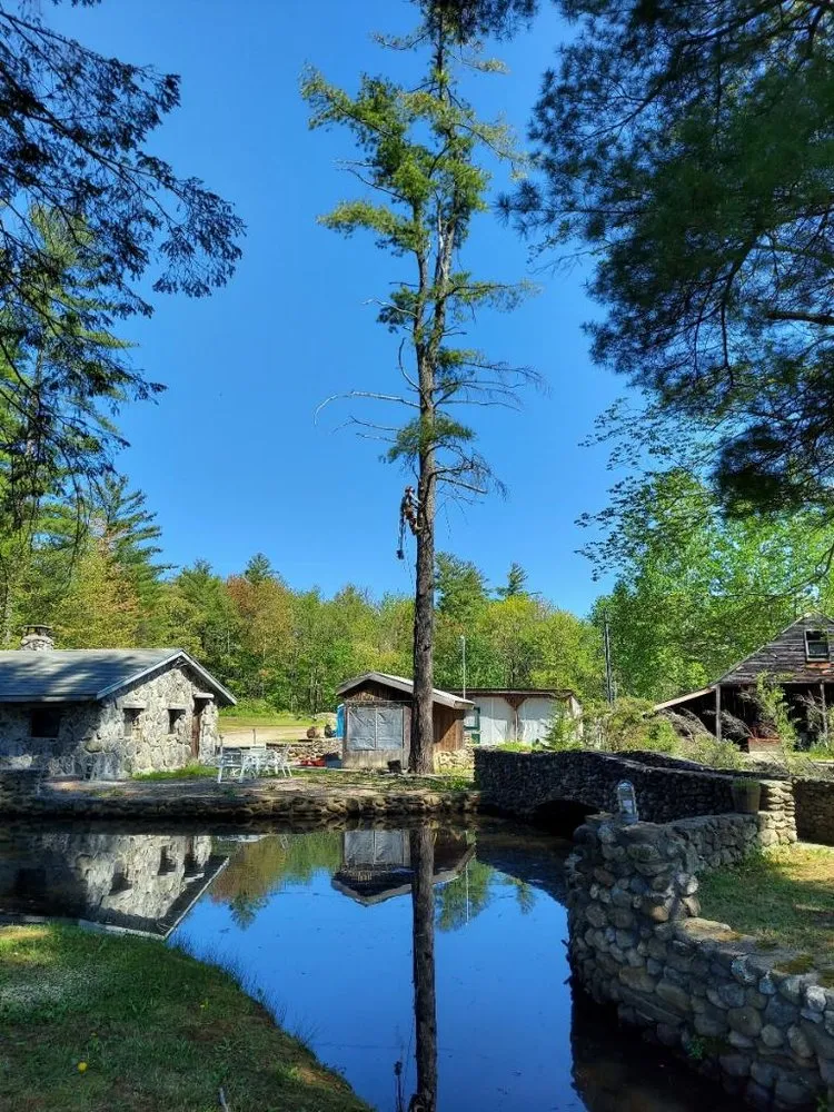 Affordable yard cleanup service in Manchester, NH by Green Vision