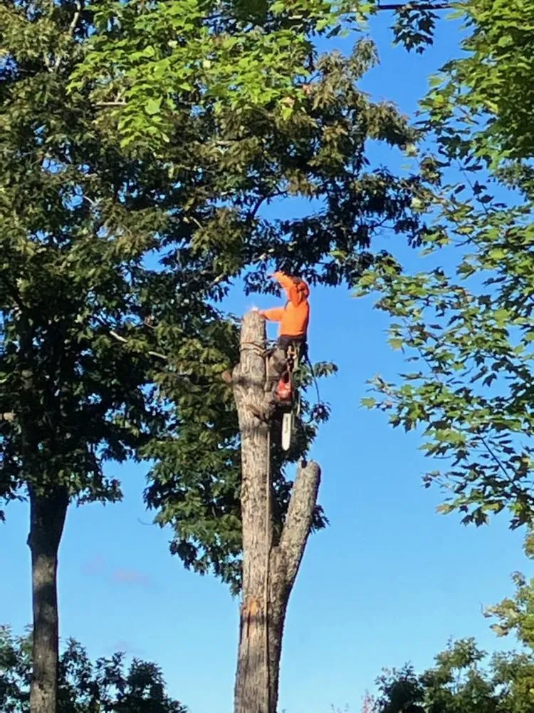 Local landscaping services in Manchester, NH - Green Vision