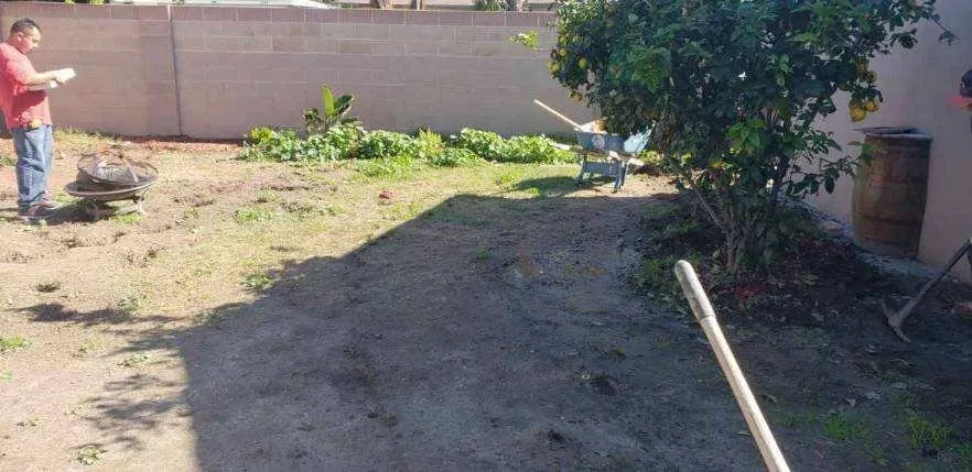 Trusted garden landscaping experts serving Sherman Oaks, CA - Green Vision