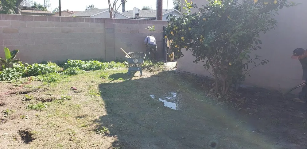 Local lawn mowing service for residential properties in Sherman Oaks, CA by Green Vision