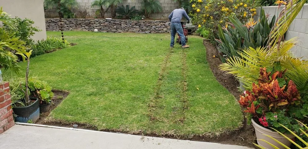 Trusted landscaping services experts serving Sherman Oaks, CA - Green Vision