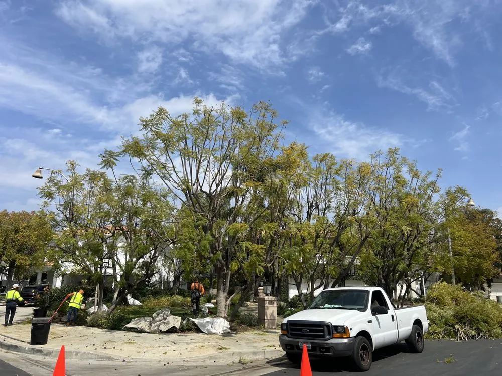 Top-rated residential landscaping experts serving West Hills, CA - Green Vision Tree Care And Landscaping