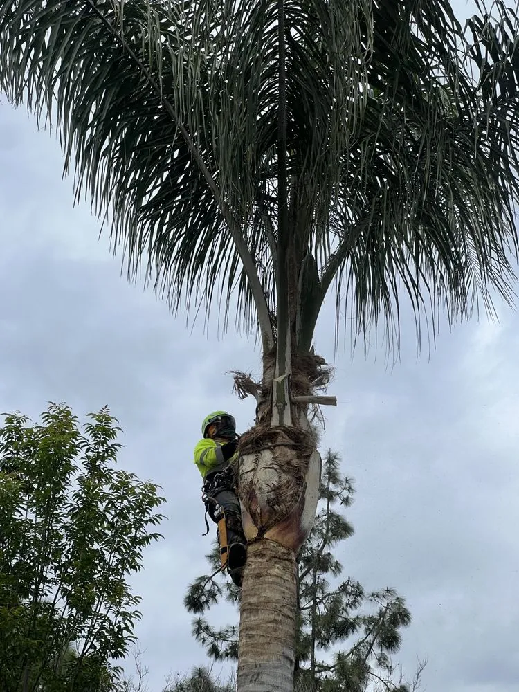 Trusted landscape design for residential properties across West Hills, CA - Green Vision Tree Care And Landscaping