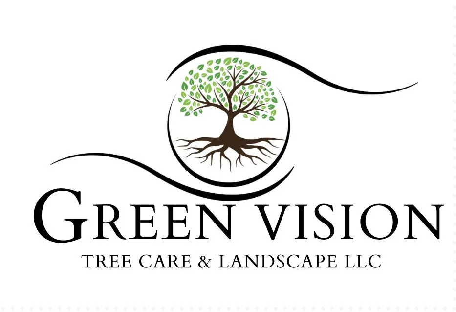 Top-rated yard maintenance for beautiful yards in West Hills, CA by Green Vision Tree Care And Landscaping