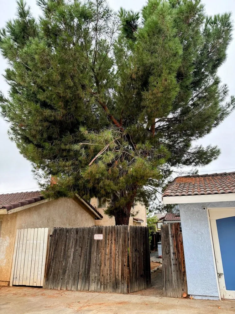 Expert residential landscaping for year-round maintenance across Moreno Valley, CA - Green Vision Tree Service