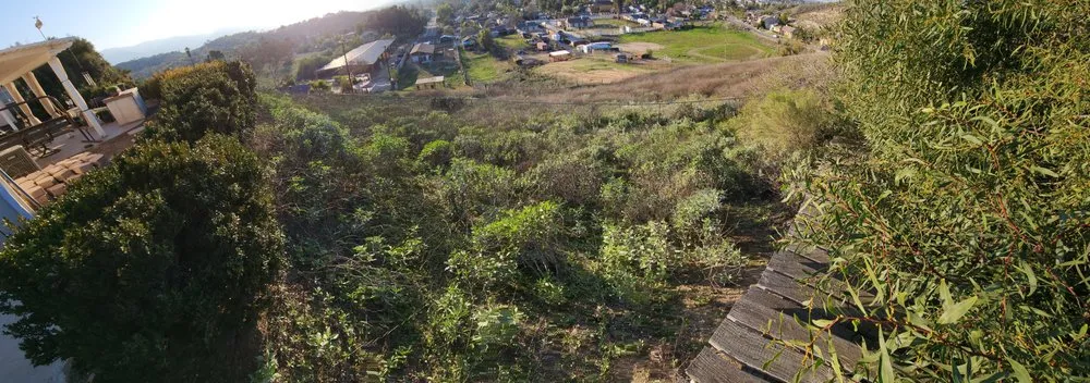 Professional residential landscaping experts serving Moreno Valley, CA - Green Vision Tree Service