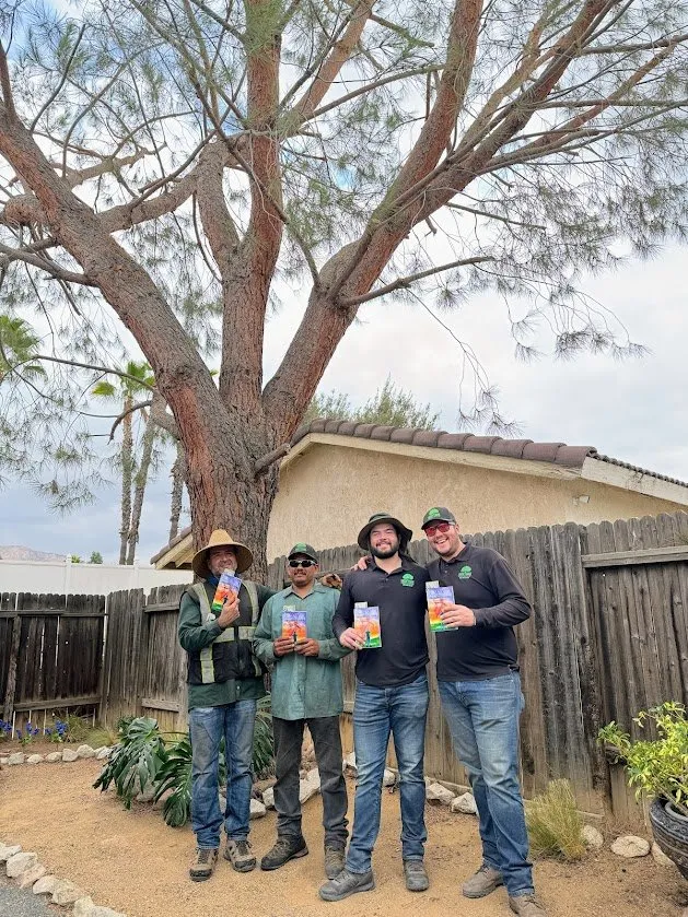 Trusted lawn mowing service in Moreno Valley, CA - Green Vision Tree Service