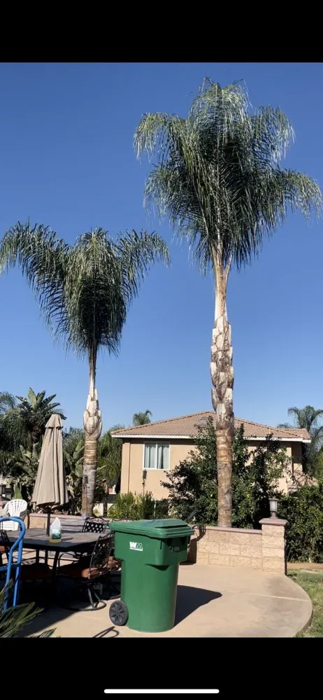 Local garden landscaping in Moreno Valley, CA by Green Vision Tree Service