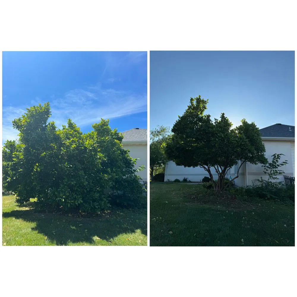 Professional landscape installation for residential properties in Columbia, MO by Green Visions