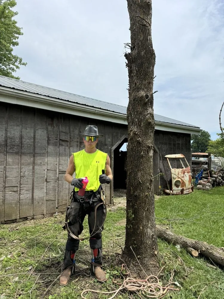 Top-rated lawn care service in Columbia, MO - Green Visions