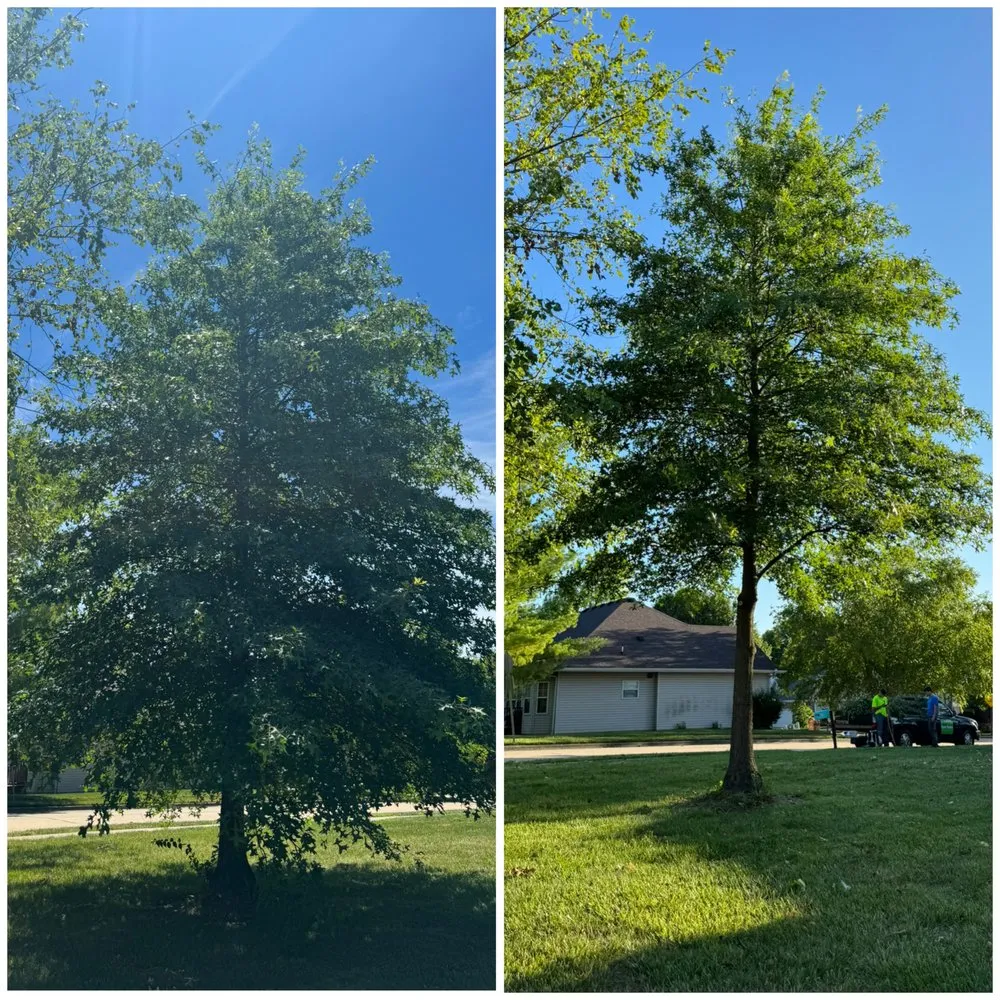 Local landscaping services for residential properties in Columbia, MO by Green Visions