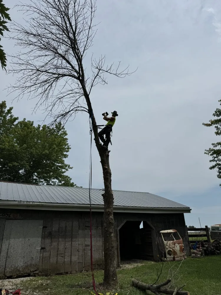 Professional lawn care service experts serving Columbia, MO - Green Visions