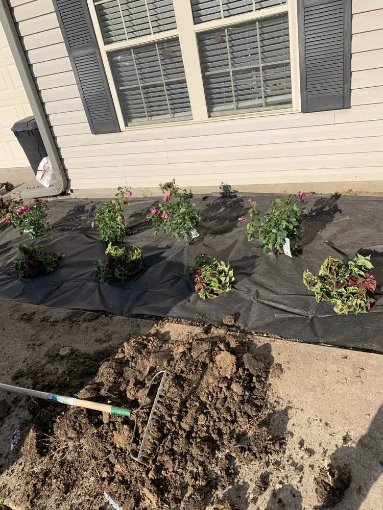 Top-rated garden landscaping in Columbia, MO - Green Visions