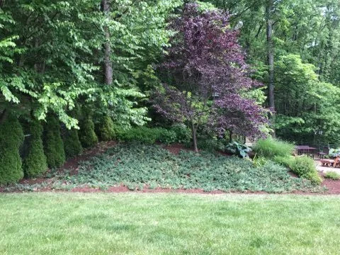 Professional landscaping services in Johnstown, PA - Green Visions Lawn Care