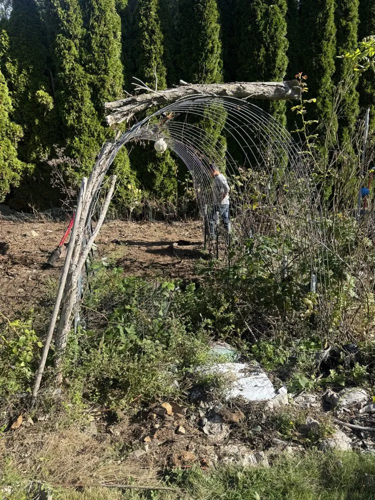 Top-rated garden landscaping in Seattle, WA - Green Vista landscaping