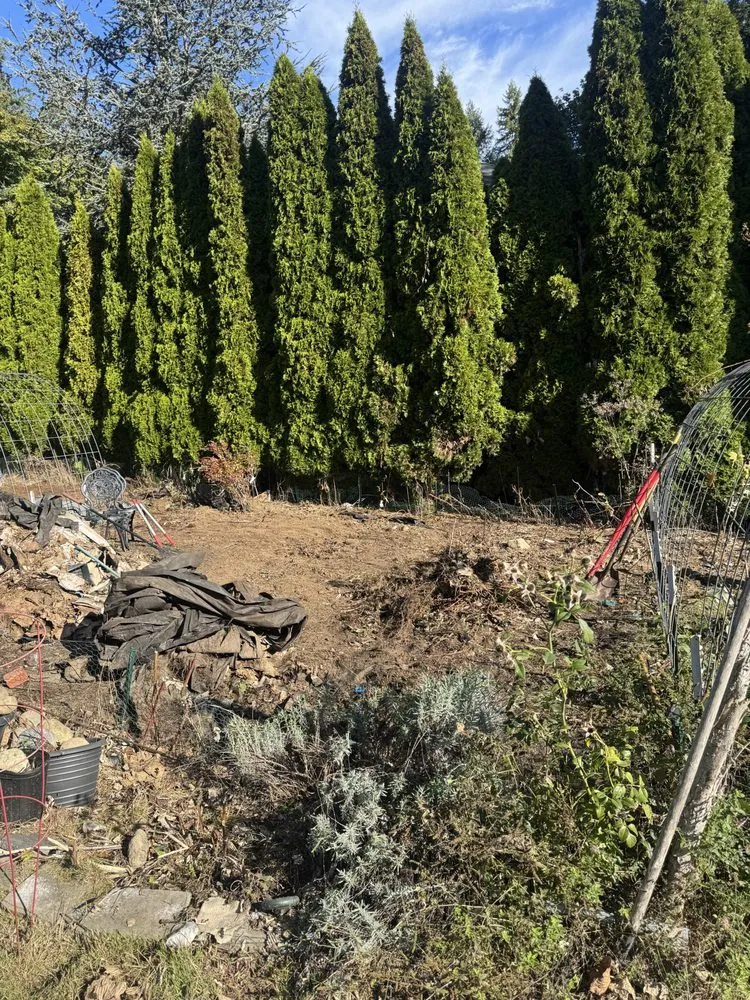 Local landscape installation for beautiful yards in Seattle, WA by Green Vista landscaping