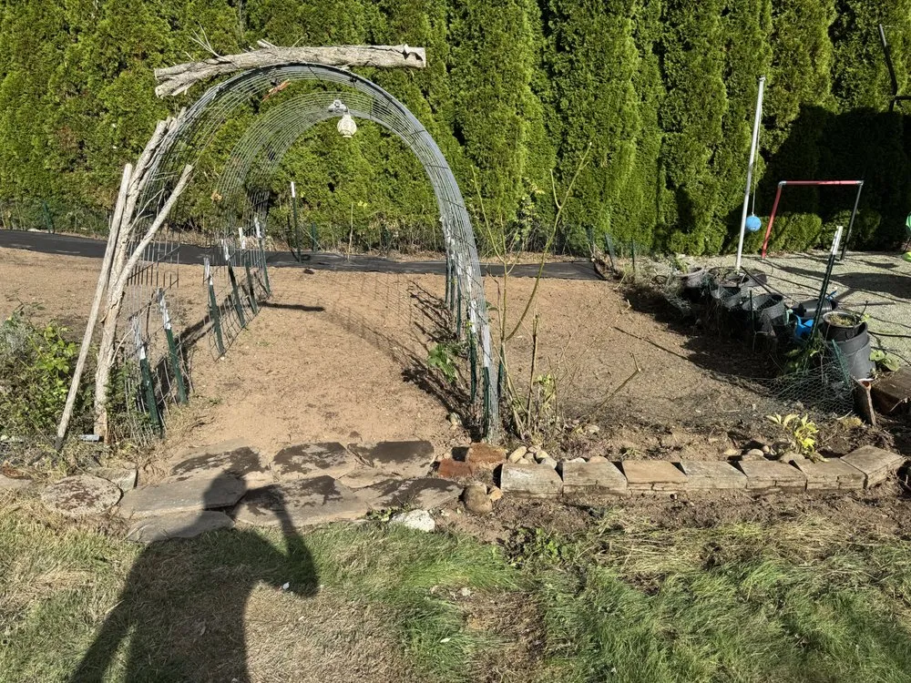 Local yard cleanup service in Seattle, WA by Green Vista landscaping