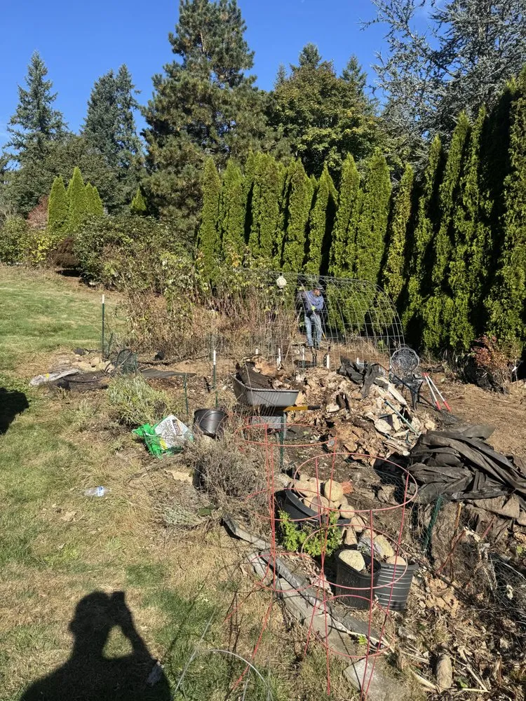 Trusted yard maintenance in Seattle, WA by Green Vista landscaping