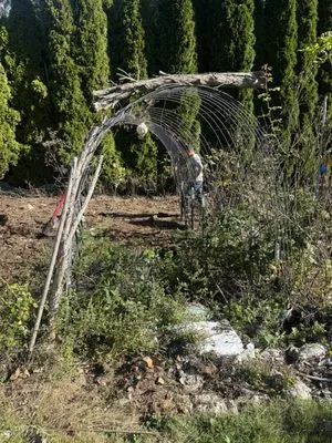 Green Vista landscaping Logo