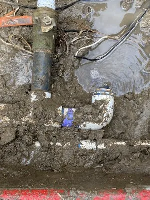 Green Vista Maintenance