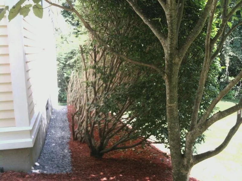 Custom yard cleanup service for beautiful yards in Hopkinton, MA by Green Vistas Landscaping