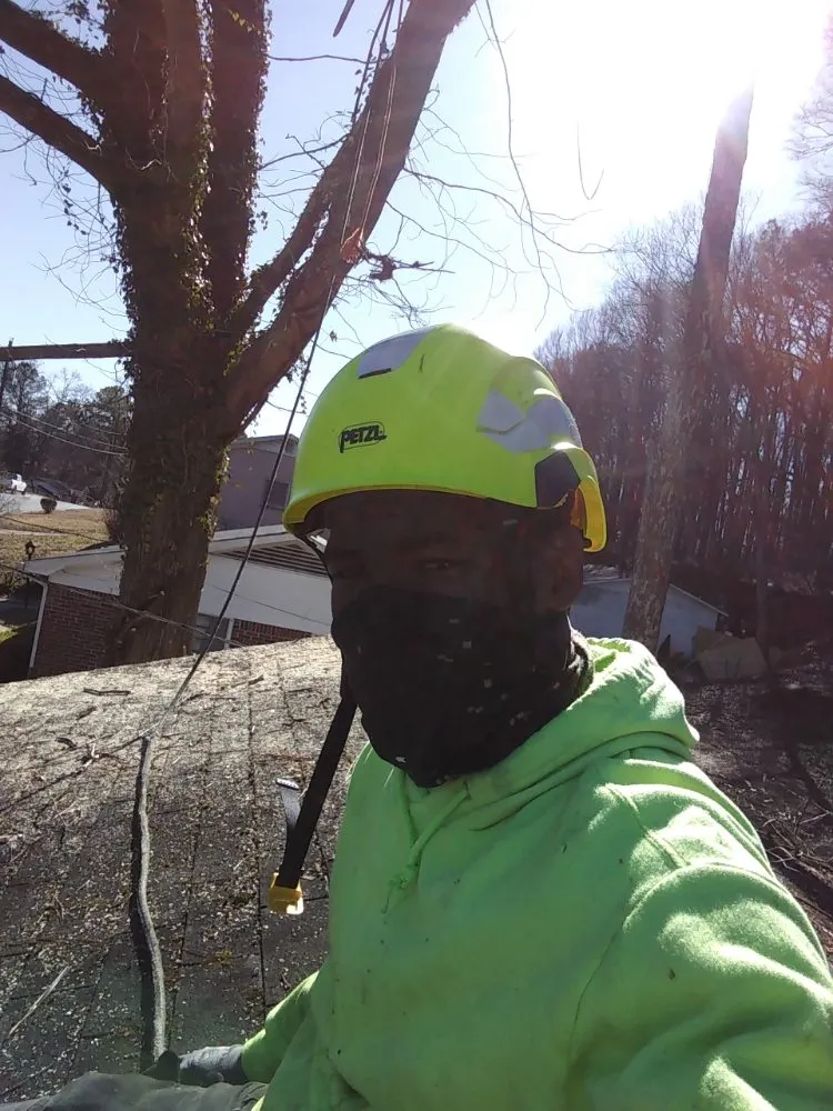 Custom lawn care service for outdoor upgrades in Mcdonough, GA by Green Visual Tree Services