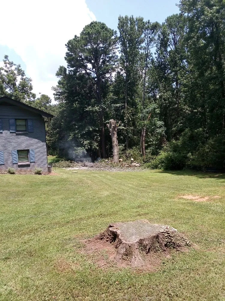 Top-rated landscaping services in Mcdonough, GA - Green Visual Tree Services