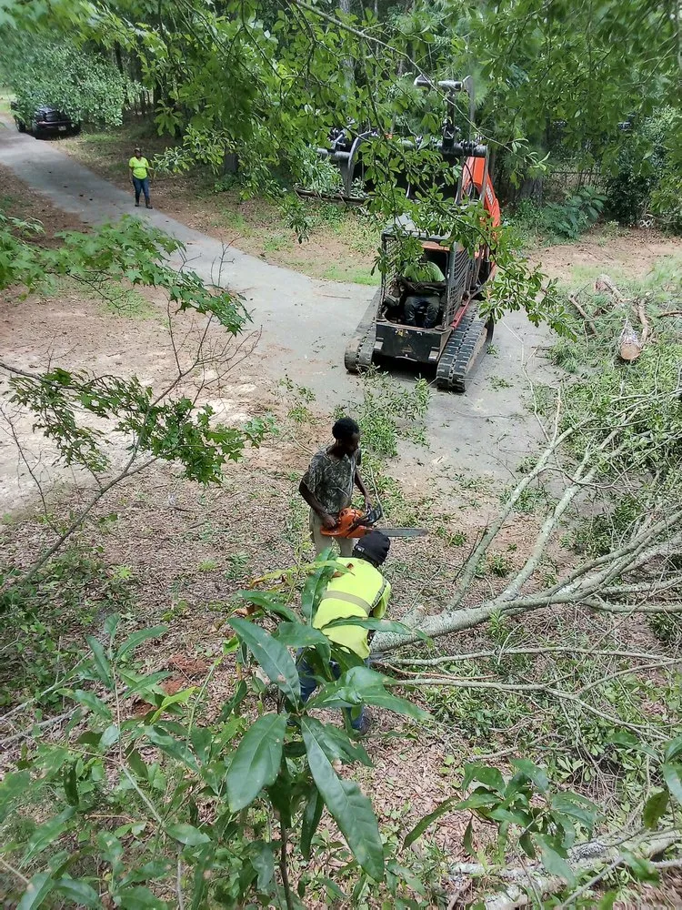 Local landscape installation for year-round maintenance in Mcdonough, GA by Green Visual Tree Services