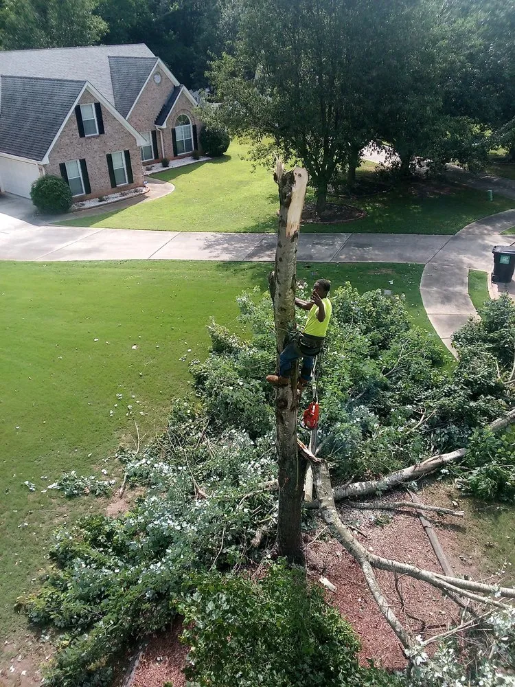 Affordable yard cleanup service in Mcdonough, GA - Green Visual Tree Services