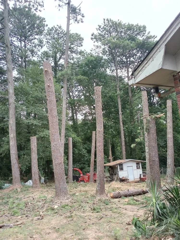 Local lawn mowing service for outdoor upgrades across Mcdonough, GA - Green Visual Tree Services